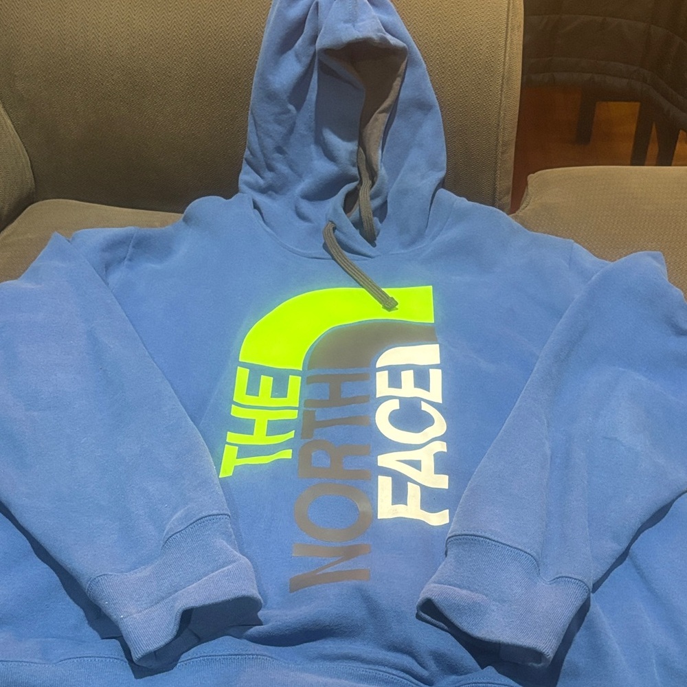 The North Face Men's Blue and Green Hoodie